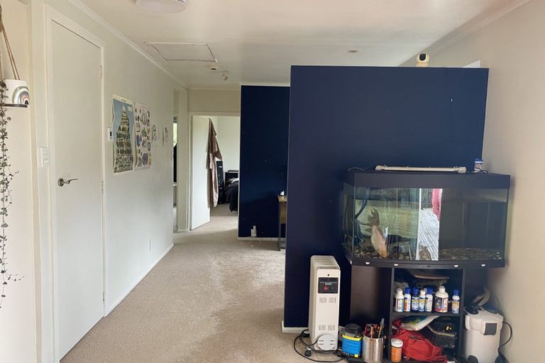 Photo of property in 58 Madras Street, Khandallah, Wellington, 6035