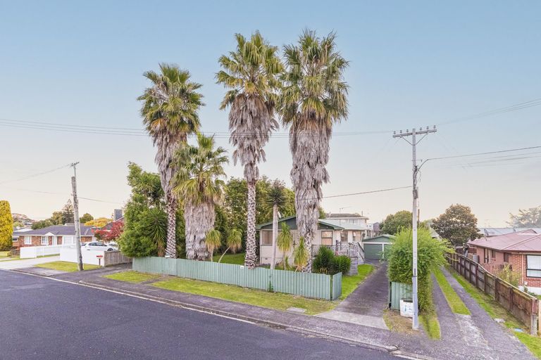 Photo of property in 17 Snell Avenue, Papakura, 2110
