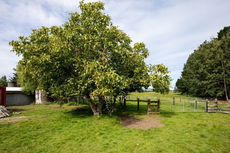 Photo of property in 657 Domett Road, Domett, Cheviot, 7382