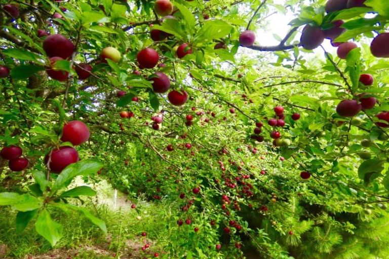 Photo of property in 338 Ngarara Road, Waikanae, 5391