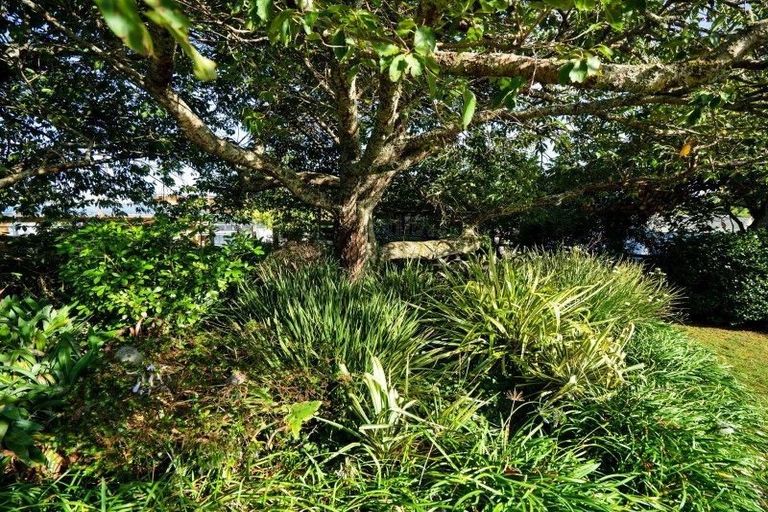 Photo of property in 1266 Egmont Road, Egmont Village, New Plymouth, 4372