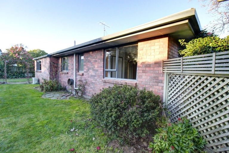 Photo of property in 19 Page Street, Redwoodtown, Blenheim, 7201