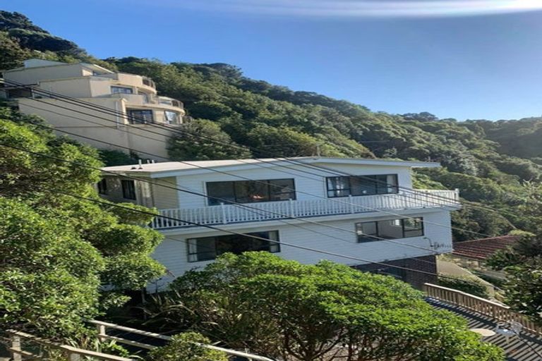 Photo of property in 17a Kio Road, Hataitai, Wellington, 6021