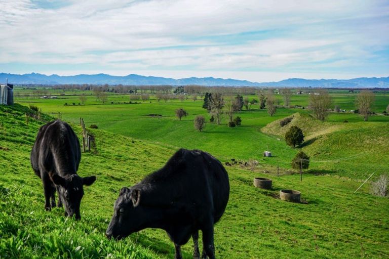 Photo of property in 399 Mahuta Road, Mangatarata, Thames, 3576