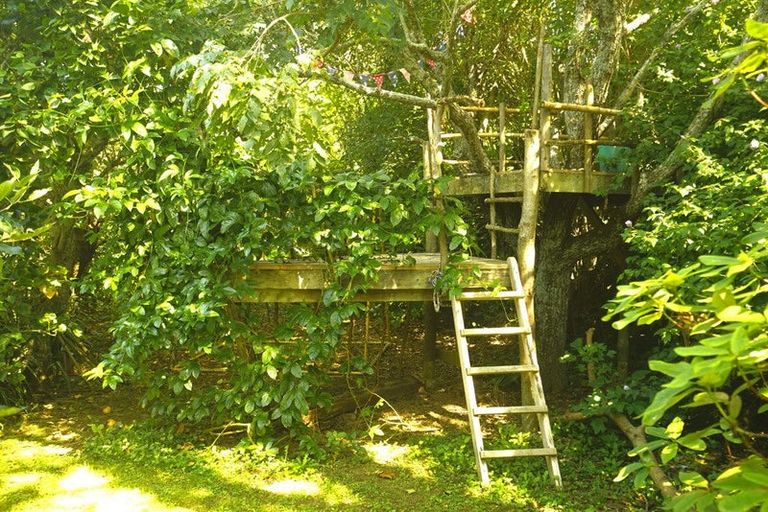 Photo of property in 49 Dodson Road, Takaka, 7183