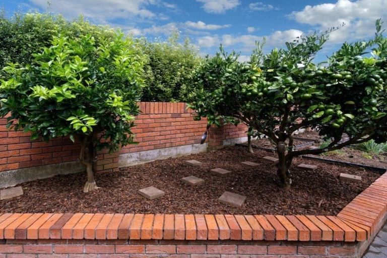 Photo of property in 6 Central Park Drive, Te Atatu South, Auckland, 0610