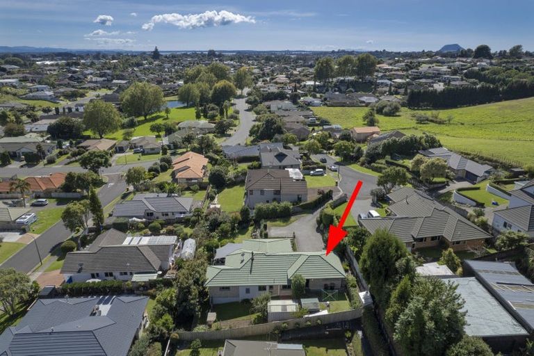 Photo of property in 14 Barnsley Close, Bethlehem, Tauranga, 3110