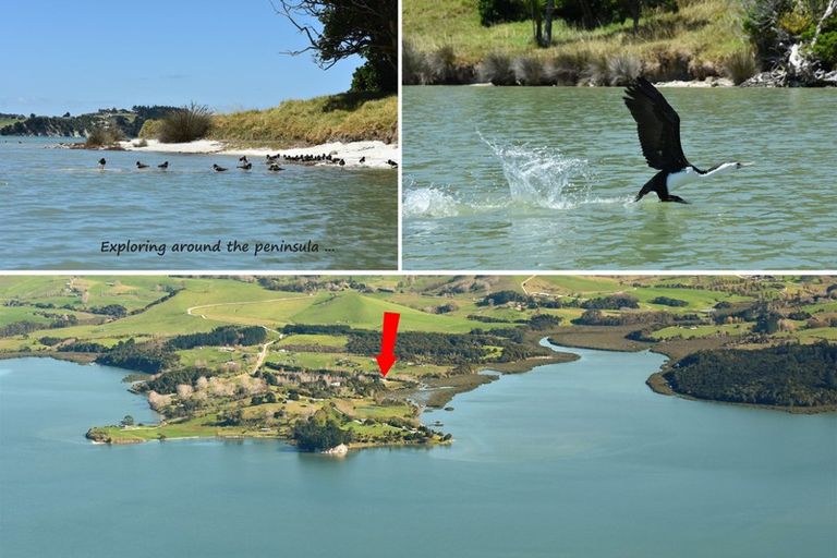 Photo of property in 245 Metcalfe Road, Matakohe, 0593