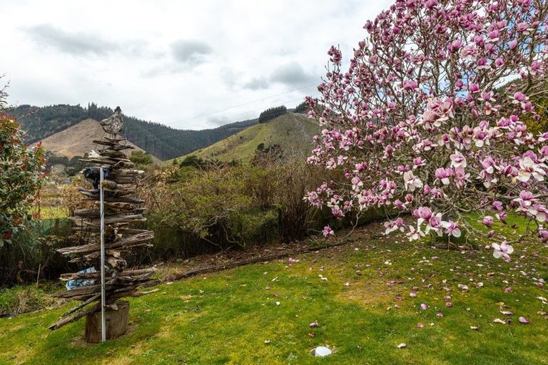 Photo of property in 420 Wakamarina Road, Canvastown, Havelock, 7178