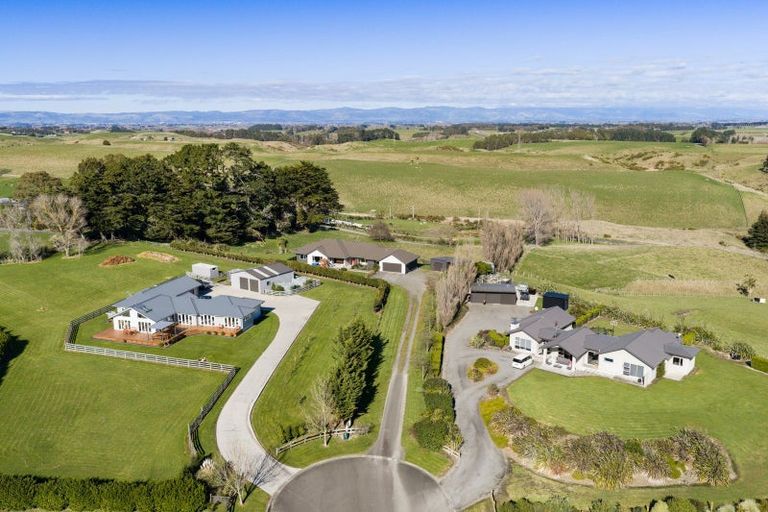 Photo of property in 60 Beechwood Road, Feilding, 4779