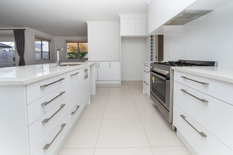 Photo of property in 20 Brad Avenue, Flagstaff, Hamilton, 3210