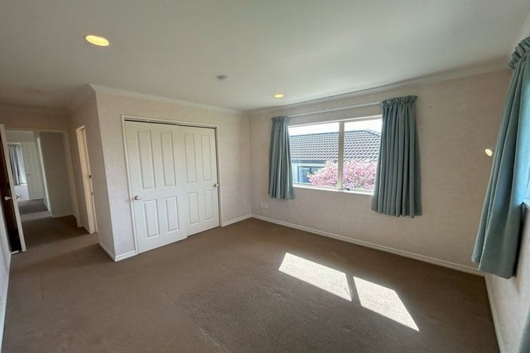 Photo of property in 31 Bayfair Drive, Mount Maunganui, 3116