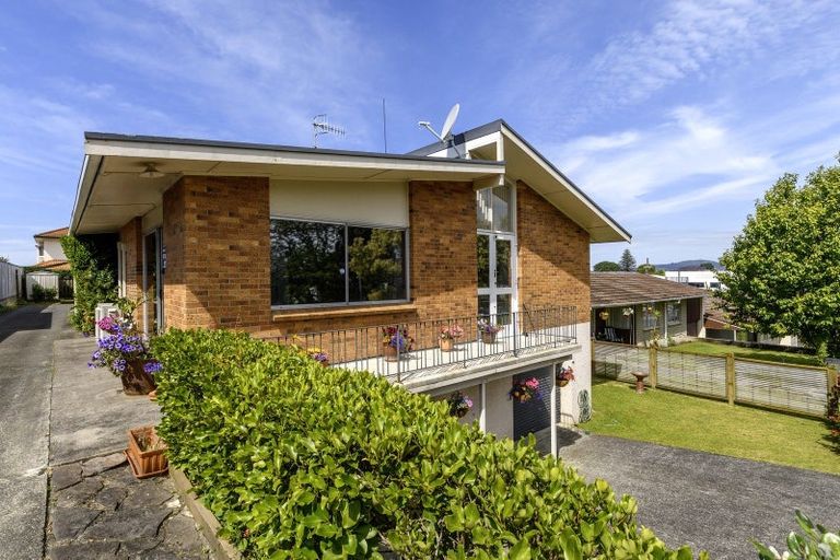 Photo of property in 203a Thirteenth Avenue, Tauranga South, Tauranga, 3112