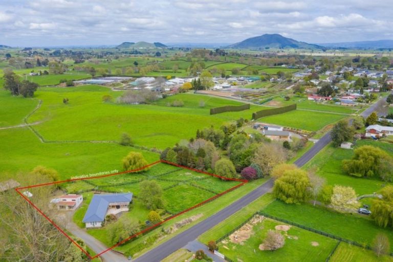 Photo of property in 41 Sheehan Street, Kihikihi, Te Awamutu, 3800