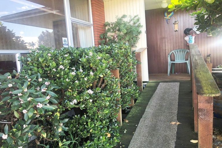 Photo of property in 47 Rugby Street, Levin, 5510