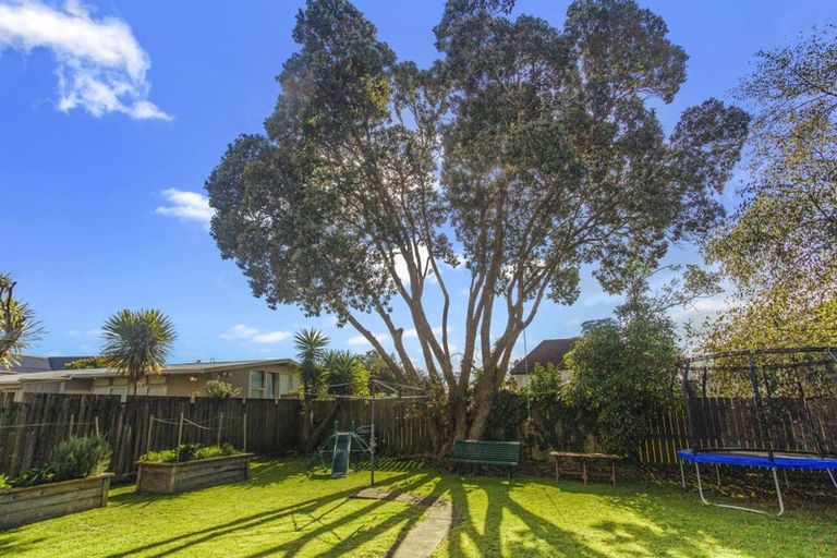 Photo of property in 19 Rimu Street, New Lynn, Auckland, 0600