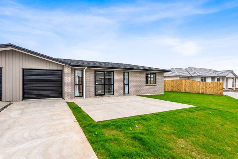 Photo of property in 115 Hinemoa Street, Levin, 5510