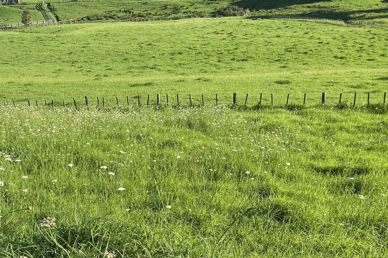 Photo of property in 262b Whau Valley Road, Whau Valley, Whangarei, 0112