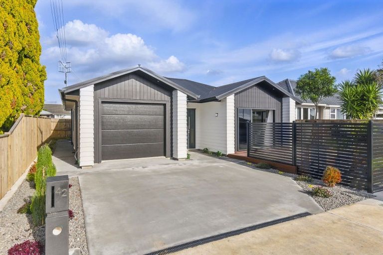 Photo of property in 42a Power Street, Levin, 5510