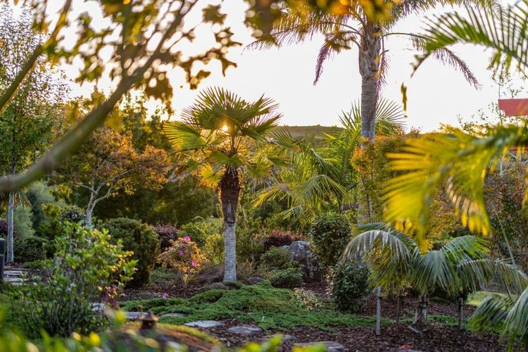 Photo of property in 58 Daroux Drive, Waipapa, Kerikeri, 0295