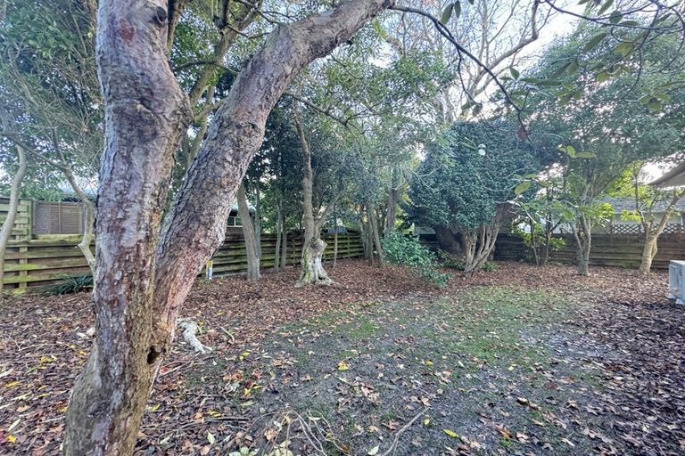 Photo of property in 65 Manawatu Street, Hokowhitu, Palmerston North, 4410