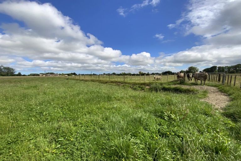 Photo of property in 167 Gladstone Road, Levin, 5571