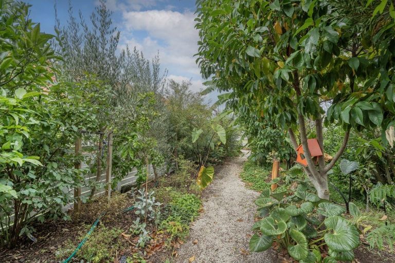 Photo of property in 8 Simpson Place, Whitianga, 3510