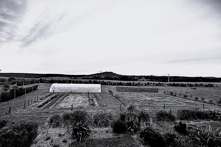 Photo of property in 1961 Te Matai Road, Ngawaro, Te Puke, 3188