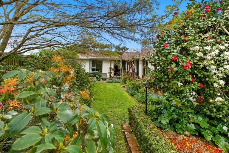 Photo of property in 17 Marley View Street, Somerfield, Christchurch, 8024