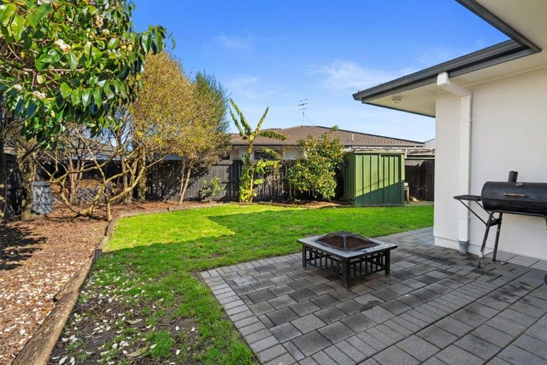Photo of property in 63 Solomon Street, Brookfield, Tauranga, 3110