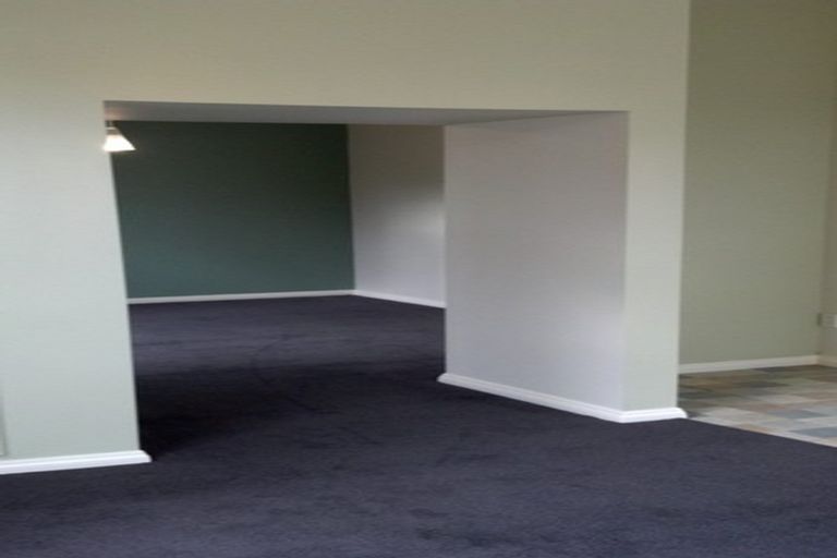 Photo of property in 151 Hastings Street East, Waltham, Christchurch, 8023