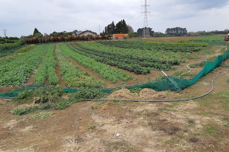 Photo of property in 1217 Glenbrook Road, Glenbrook, Waiuku, 2681