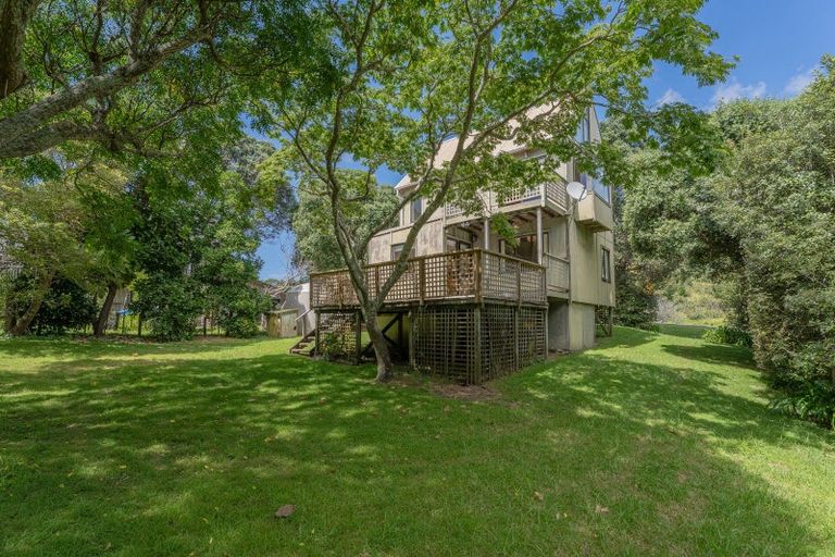 Photo of property in 863 Black Jack Road, Opito Bay, Whitianga, 3592