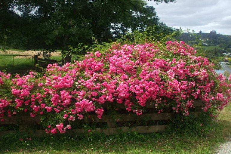Photo of property in 24 Mary Street, Te Kuiti, 3910