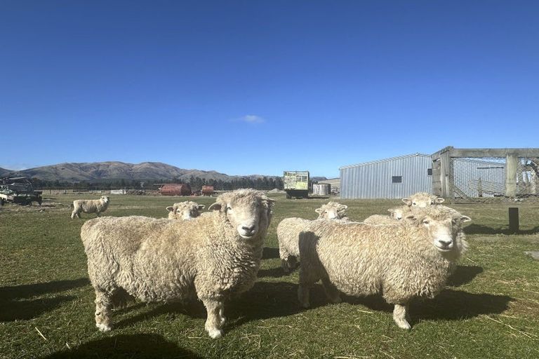 Photo of property in 103 Selbie Road, Lowther, Lumsden, 9793