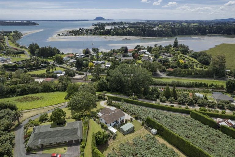 Photo of property in 221 Plummers Point Road, Whakamarama, Tauranga, 3172