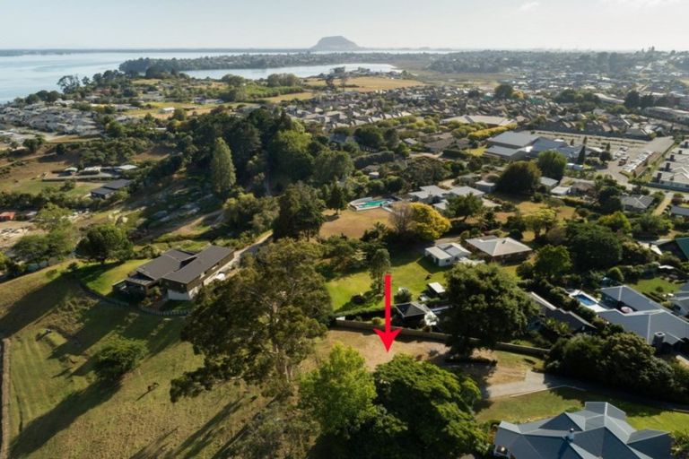 Photo of property in 40 Black Barn Lane, Bethlehem, Tauranga, 3110