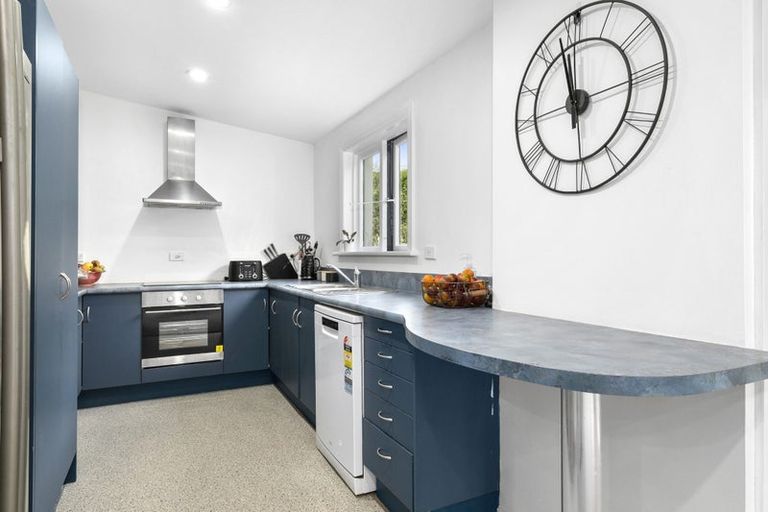 Photo of property in 8 Massey Avenue, Saint Clair, Dunedin, 9012