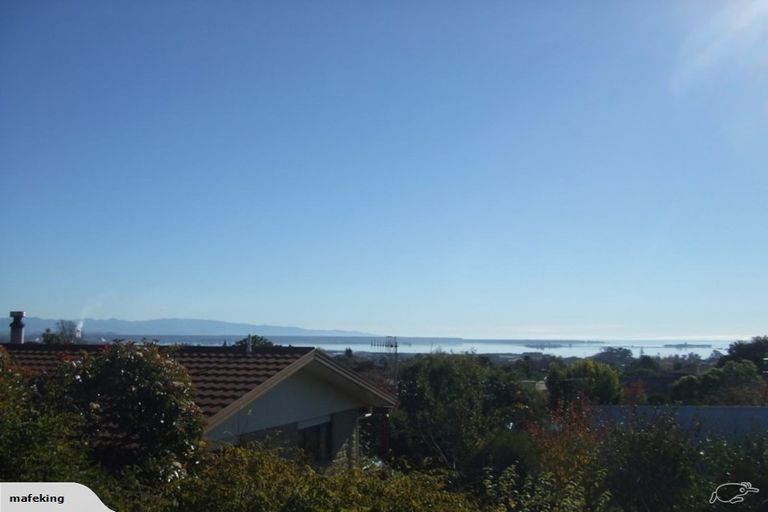 Photo of property in 5 Primrose Place, Richmond, 7020