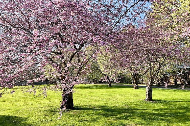 Photo of property in 290 Queen Elizabeth Ii Drive, Mairehau, Christchurch, 8052