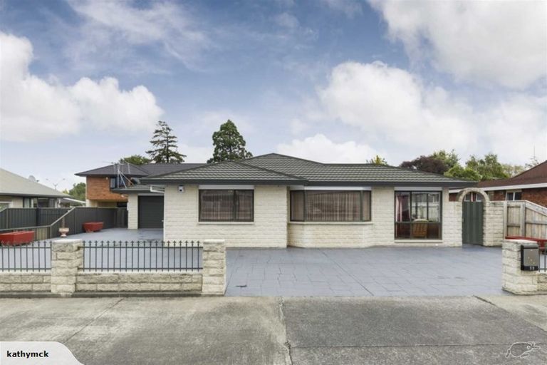 Photo of property in 58 Warwick Street, Feilding, 4702