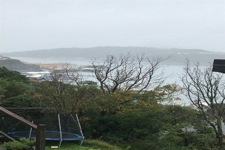 Photo of property in 55 Overtoun Terrace, Hataitai, Wellington, 6021