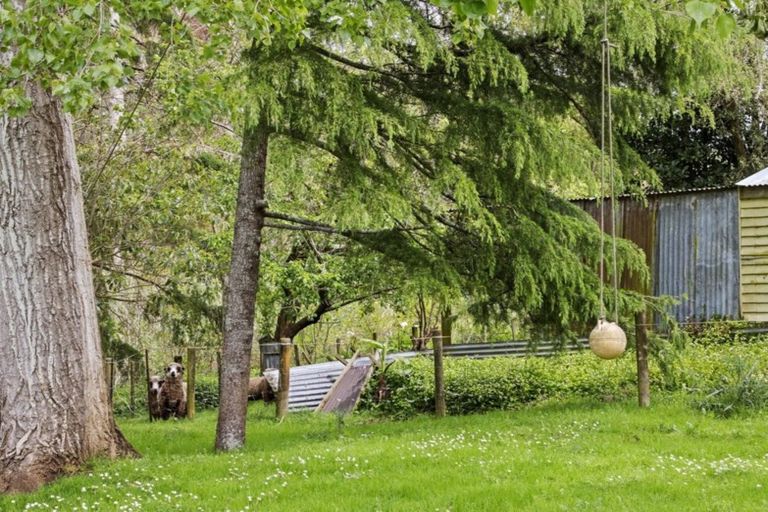 Photo of property in 867 Tuakau Bridge-port Waikato Road, Te Kohanga, Tuakau, 2693