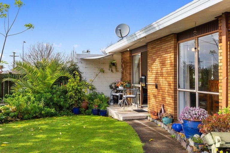 Photo of property in 114b Sixteenth Avenue, Tauranga South, Tauranga, 3112
