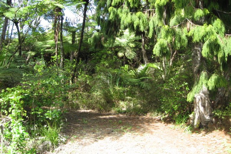 Photo of property in 40 Whatipu Road, Huia, Auckland, 0604