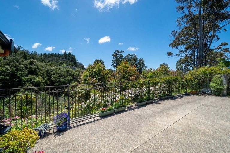 Photo of property in 56 Sapperton Drive, Henderson, Auckland, 0612