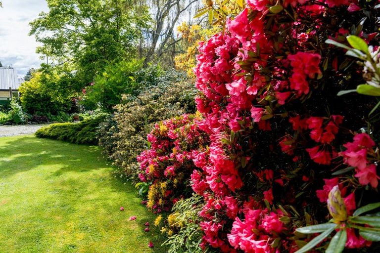 Photo of property in 7 Greenhithe Street, Waihola, Milton, 9073