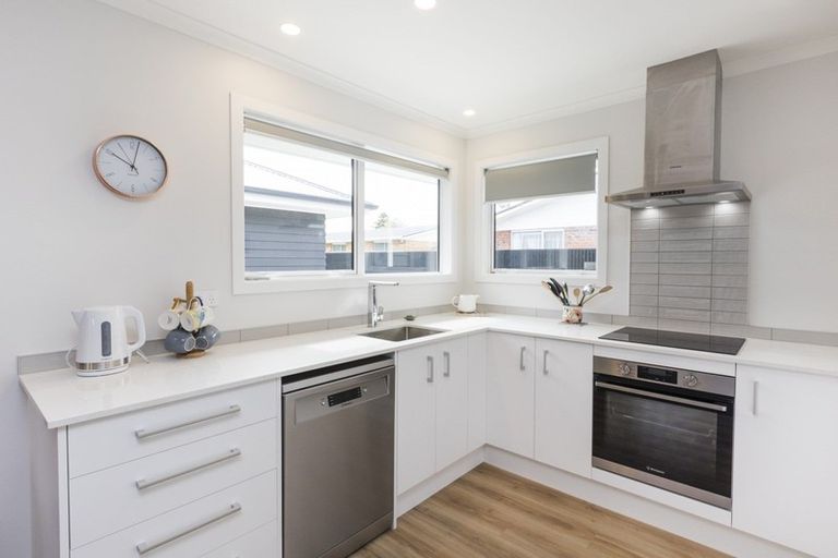 Photo of property in 17c Alfred Street, Roslyn, Palmerston North, 4414