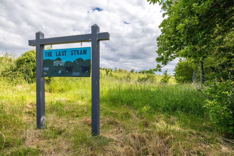 Photo of property in 407 Elephant Hill Road, Waihao Downs, Waimate, 7977