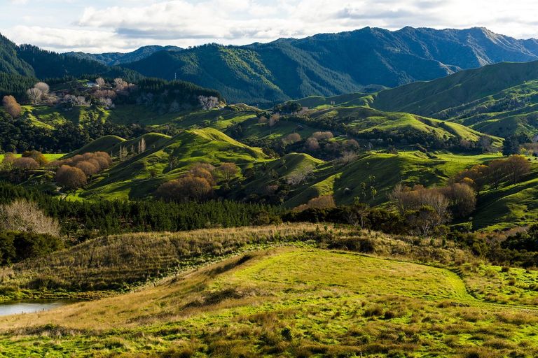 Photo of property in 276 Gaddums Hill Road, Outer Kaiti, Gisborne, 4010